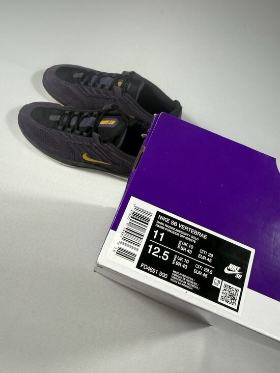 New Men’s Size 11 - Nike Vertebrae SB Dark Raisin University Gold FD4691 500 main image 10